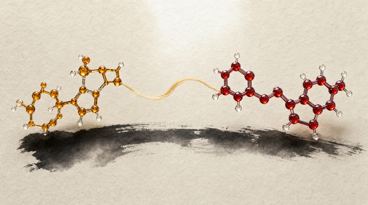 NAD+ and resveratrol shown as two glowing molecules joined by a gold thread